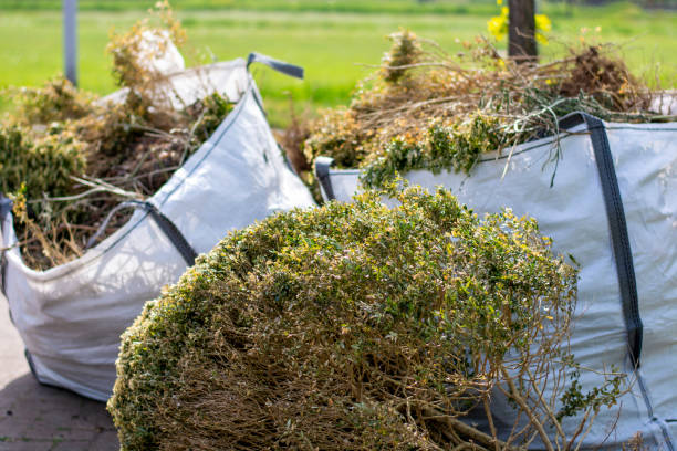 Best Trash Removal Near Me  in Manassas Park, VA